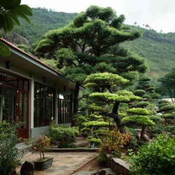 紫溪山避暑全攻略(紫溪山美食)