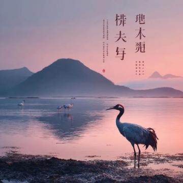 以下是為云南旅游量身打造的原創(chuàng)爆款文案攻略,結(jié)合自然風光、人文風情與深度體驗