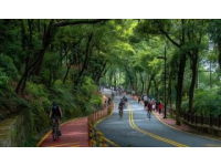 夜幕下的合興路：告別舊居后的溫暖回憶與新發(fā)現(xiàn)