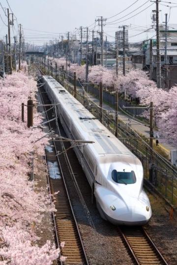 500元環游東日本！JR東日本平日旅行優惠票限時發售