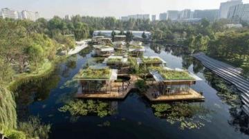 佛山綠島湖游玩指南:探索城市綠肺與生態秘境
