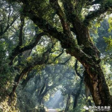 珠海江門臺山兩日游路線指南:狂飆之旅,探索自然與人文的魅力