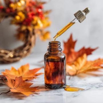 秋日必備:王掌柜鱷魚家宴紅燒鱷魚肉盛宴推薦