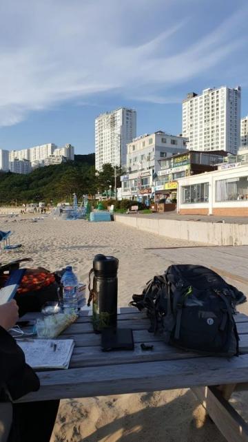 你覺得青島最出名的美食是什么清晨的海風裹挾著咸鮮氣息，我漫步在青島的街頭