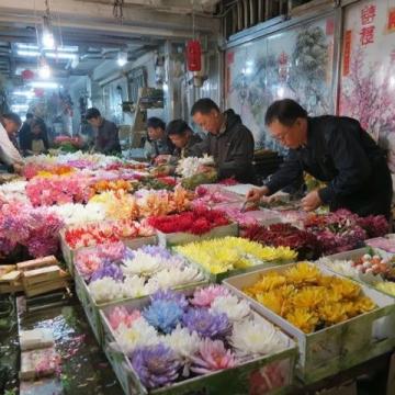 圖廣西小鎮(zhèn)街天實(shí)錄：熱鬧市集、地道美食，感受淳樸的民俗風(fēng)情與生活韻味