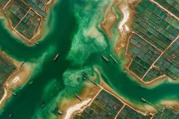 山東威海榮成：海帶包子的極致鮮美之旅