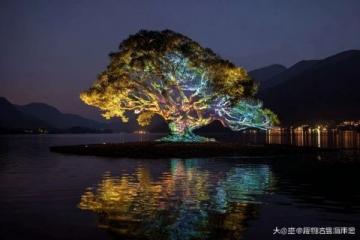 遇見撫仙湖的藍:澄江旅游攻略
