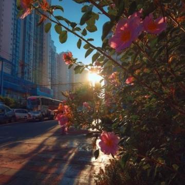 合肥五一游玩攻略:好天氣邂逅寶藏景點,速來打卡!