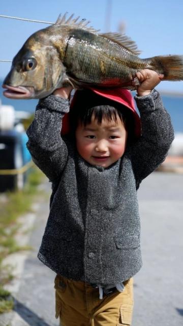30元一條的無刺全肉魚,營養豐富補腦佳品最適合孩子吃