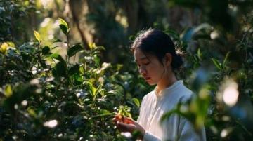 春天野菜怎么吃?教你簡單又營養的薺菜炒雞蛋做法