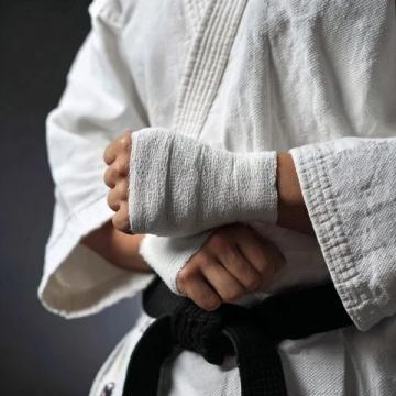 千歲國際實(shí)業(yè)集團(tuán)舉辦MMA專業(yè)技能培訓(xùn)