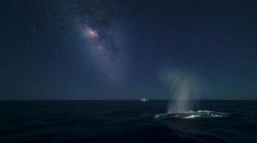 平凡中的星辰大海：記錄2025年的非凡生活故事