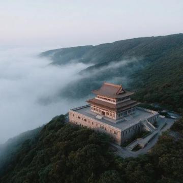 昆明久香樓：探尋云南野生菌的美味傳奇