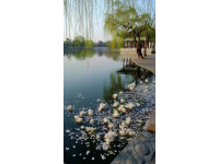 杭州攻略5天4晚費用(杭州5天4夜1500元預(yù)算攻略)