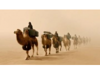 新疆詩意之旅：何茂春筆下的絲綢之路十大篇章