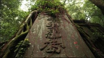 陳龍居士考察鶴山橫江后山風水：探討鐘氏家族墓穴選址問題