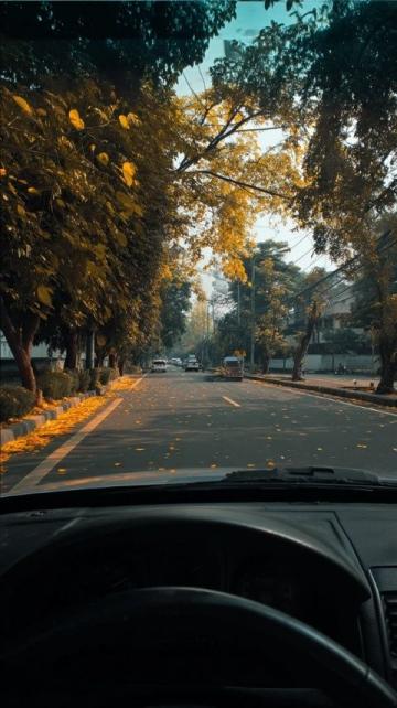 詳解各國道路車道劃分與行駛規則必看!