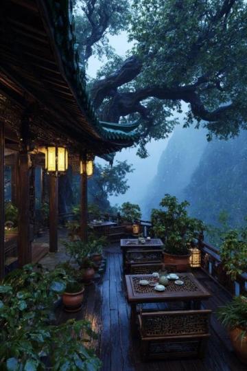 南方地區的特色美食推薦：廣東早茶、福建佛跳墻、廣西螺螄粉……不可錯過的味蕾之旅