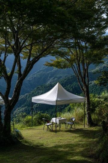 紫溪山避暑全攻略(紫溪山美食)