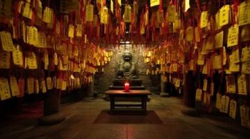 河南駐馬店北泉寺：千年古剎探秘之旅
