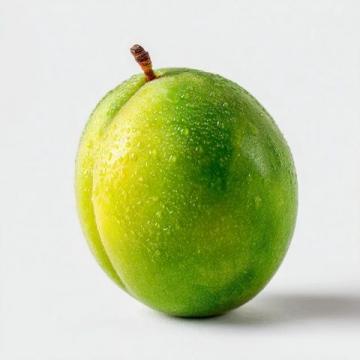 緬懷外婆：那顆最后逝去的青梅
