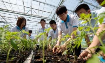 揭秘夏日熱土|潁州盛夏記:花鼓燈節(jié)、智能稻田與公益助學(xué)新篇章