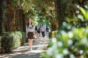 廈門春游攻略:賞花、文化探索與潮流體驗,一網打盡!