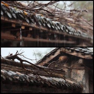 時雨紛紛,清明時節雨紛紛