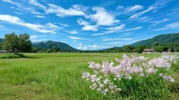 土地性質劃分(土地性質常識)