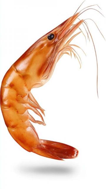 夏日限定：啤酒蝦輕松烹飪指南，解鎖鮮美新體驗