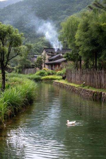 成都近郊露營好去處：金馬河邊的溫江魯家灘濕地公園