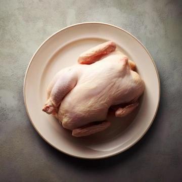 雞肉品種之爭:麻雞VS普通雞