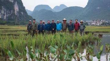 廣西氣候美食之旅:探尋壯美風(fēng)光與味蕾盛宴