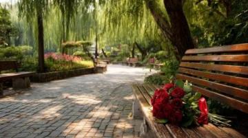 濰坊高密南湖植物園——城市綠洲的詩(shī)意棲居**