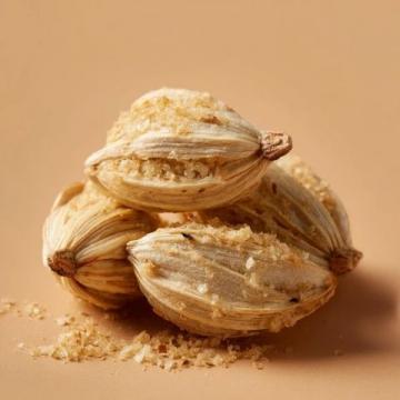 蒸茴香助老年人解決通便難題