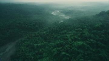 西雙版納旅游攻略:熱帶雨林與傣族文化的完美結合