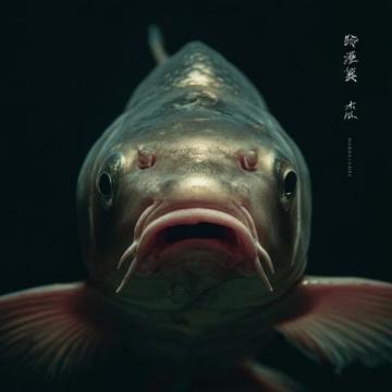 進(jìn)去！我只收釣費(fèi)，不提供魚,這件事在沈陽的社交媒體上引發(fā)了熱議