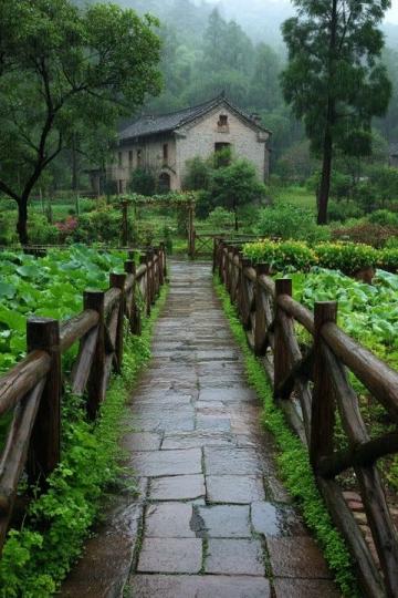 增城風光無限：廣州周邊的美麗鄉(xiāng)村之旅