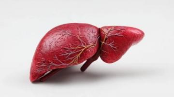 科學(xué)應(yīng)對脂肪肝：揭秘極端素食背后的健康誤區(qū)與合理膳食策略