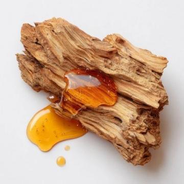 沉香保養(yǎng)秘笈:如何正確處理沉香以保持獨(dú)特氣息