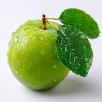 緬懷外婆：那顆最后逝去的青梅