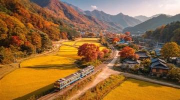 縉云縣旅游攻略：自然美景與文化體驗指南