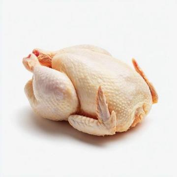 雞肉品種之爭:麻雞VS普通雞