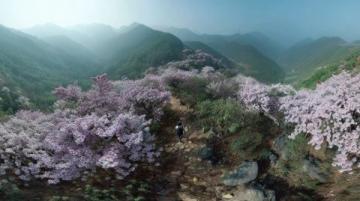 探尋揚州春季登山地：龍山與捺山的風光之旅