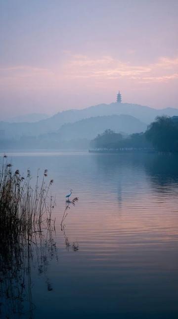 浙江永嘉十大令人心動的美景之地