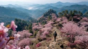 一起來爬爿西樵山!