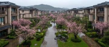 逃離都市喧囂:探尋杭州西溪濕地里的隱世桃源——十里芳菲度假村