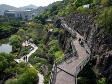 探秘莫干山：江浙滬避暑勝地的綠色仙境指南
