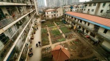 澗西的人口變遷:豫東人在工業(yè)重鎮(zhèn)的新聚落與融合故事