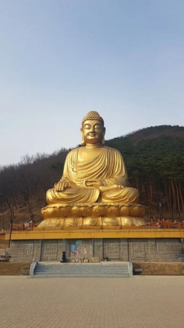 以下是一份青島三日游攻略